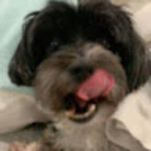 Meet your Posher, Mac